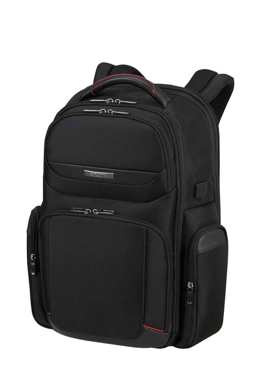 Samsonite Pro-dlx 6 Backpack 17.3